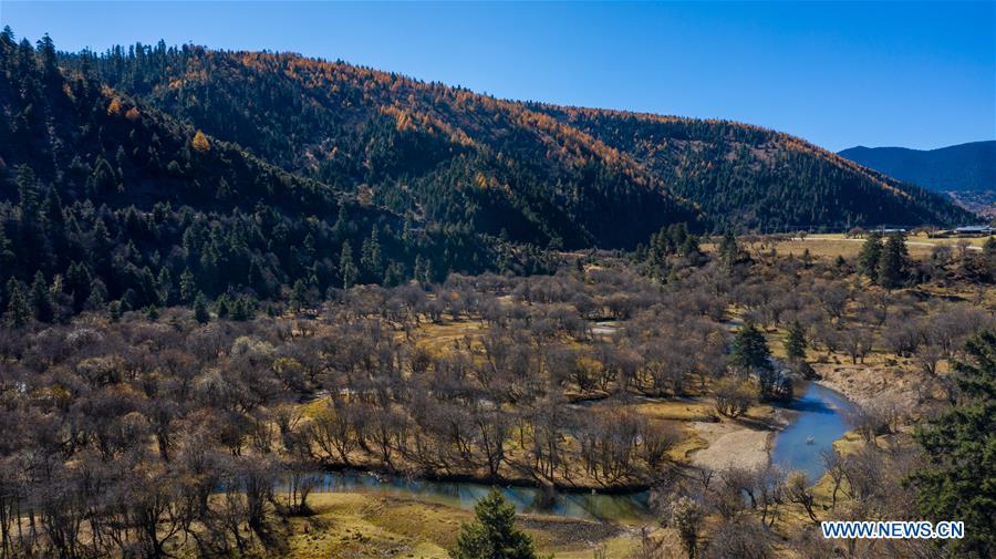 CHINA-YUNNAN-SHANGRI-LA-POTATSO NATIONAL PARK-AUTUMN SCENERY (CN)