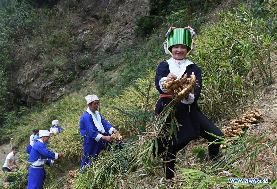 CHINA-GUANGXI-HEZHOU-YAO ETHNIC GROUP-POVERTY ALLEVIATION (CN)