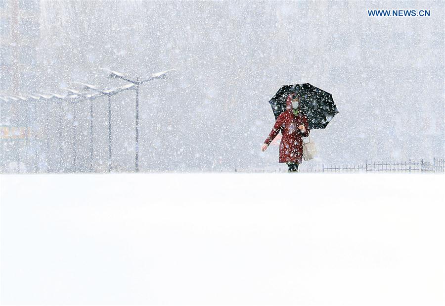 CHINA-JILIN-CHANGCHUN-SNOWFALL (CN)