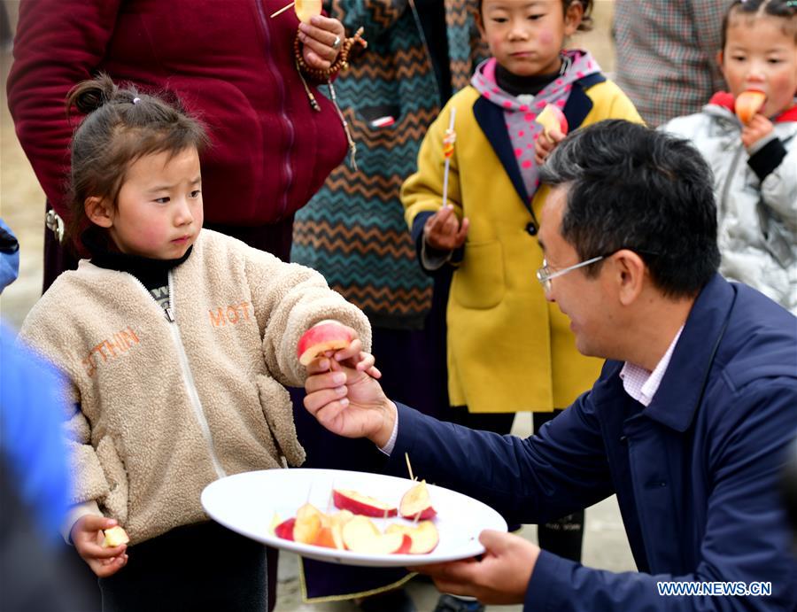 (InTibet) CHINA-TIBET-NYINGCHI-APPLE CULTIVATION PROFESSOR (CN) 