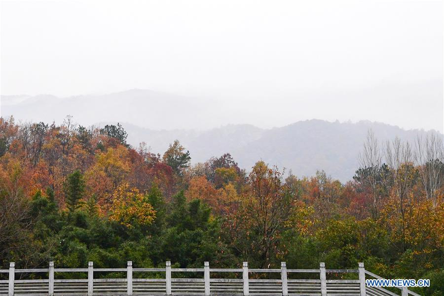 CHINA-HENAN-TONGBAI MOUNTAIN (CN)