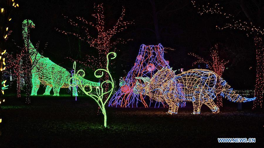 U.S.-NEW MEXICO-ALBUQUERQUE-RIVER OF LIGHTS