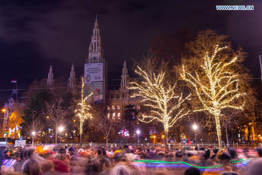 AUSTRIA-VIENNA-NEW YEAR-CELEBRATION