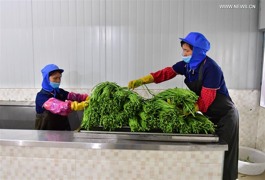 CHINA-GUANGXI-LIUZHOU-RIVER SNAIL RICE NOODLES-POVERTY ALLEVIATION (CN)