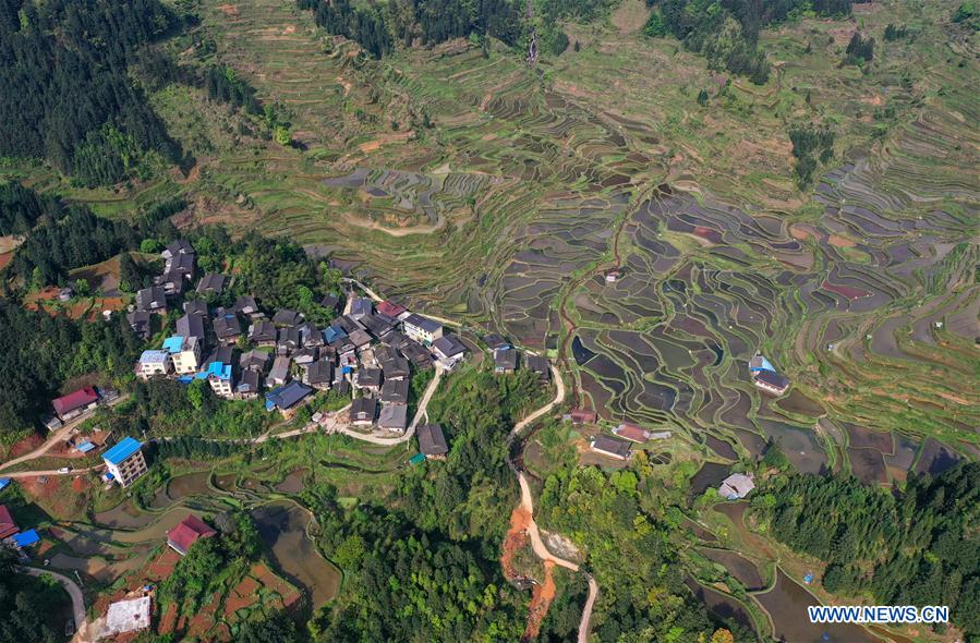 CHINA-GUANGXI-RONGSHUI-TERRACED FIELDS (CN)