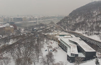 In pics: snow-covered winter scenery in Budapest, Hungary