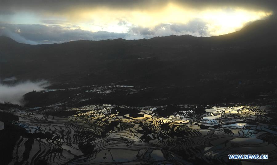 CHINA-YUNNAN-HANI TERRACED FIELDS-VIEWS (CN)