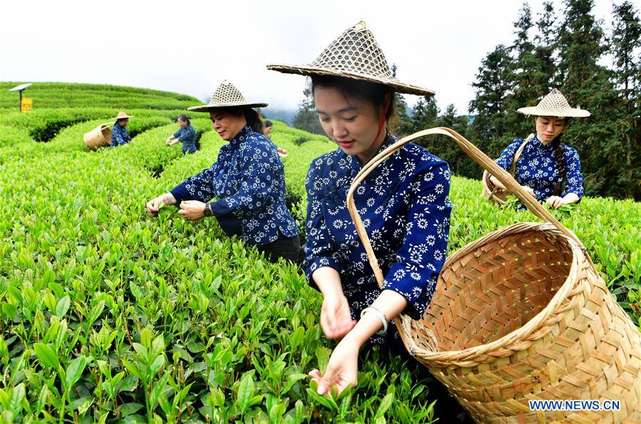 CHINA-AGRICULTURE DEVELOPMENT (CN)