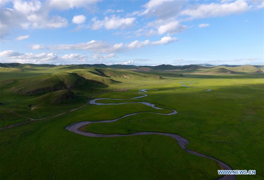 CHINA-INNER MONGOLIA-PASTURE SCENERY (CN)