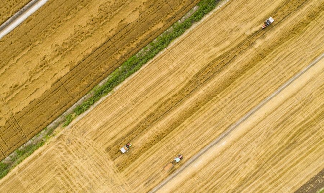 In pics: farmers work across China