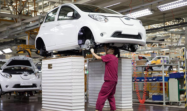 Green industry developed along Yangtze River in east China's Anhui