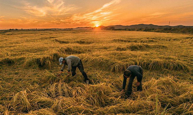 Weekly choices of Xinhua photo