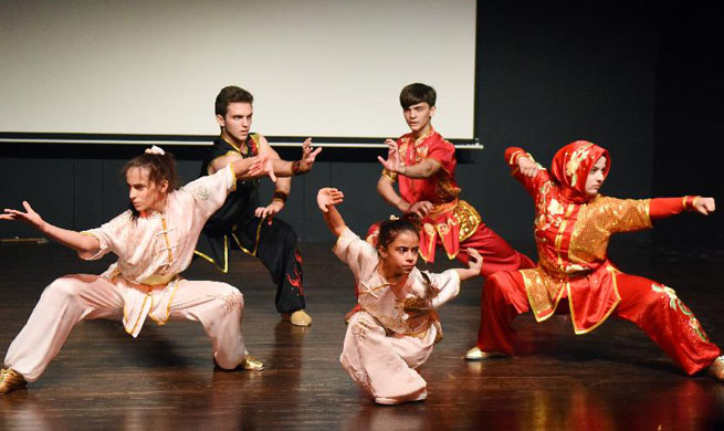 Chinese Kung Fu show enchants audience at Istanbul university