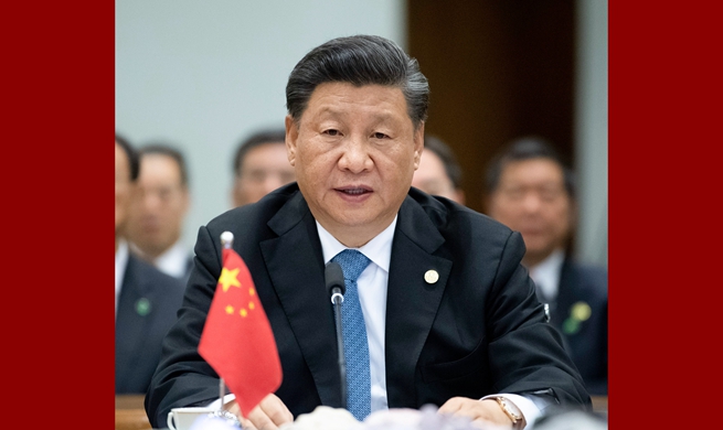 Xi urges BRICS countries to champion multilateralism