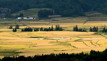 Autumn scenery of Longchuan County in SW China's Yunnan