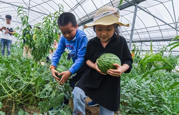 Local people's income increased through countryside tourism in east China's Zhejiang