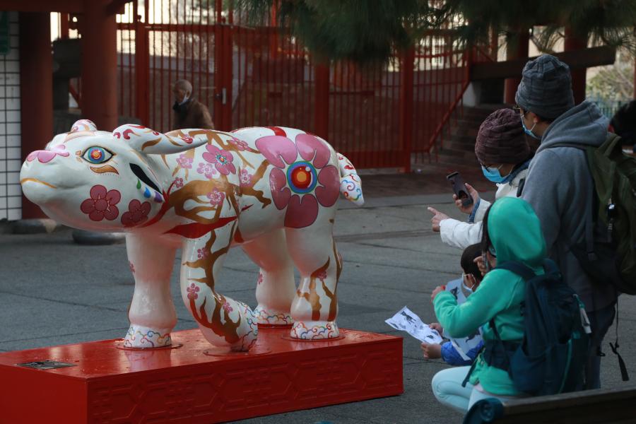 11 ox sculptures displayed in San Francisco, U.S.