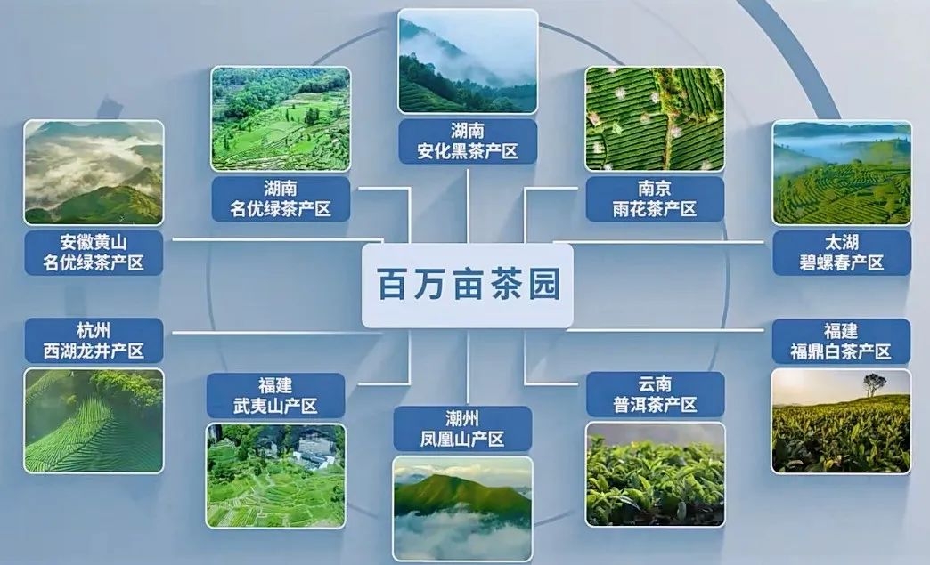 7月銀川這場(chǎng)盛會(huì)，或?qū)⒔沂鞠M(fèi)信心深層密碼