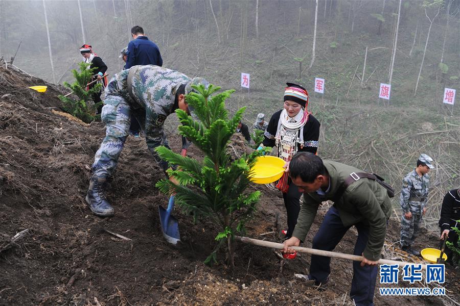 （圖文互動(dòng)）（6）和平年代，離死神最近的人——南部戰(zhàn)區(qū)陸軍云南掃雷大隊(duì)邊境掃雷排爆記事