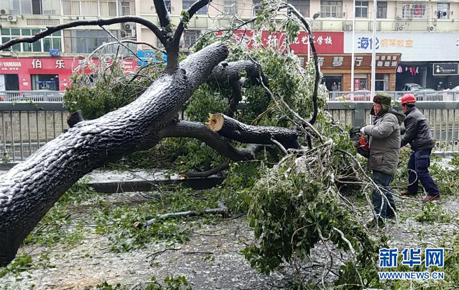 （新華全媒頭條）（7）雨雪冰凍中，他們奮力前行——基層黨員干群抗擊冰雪災(zāi)害紀(jì)實(shí)