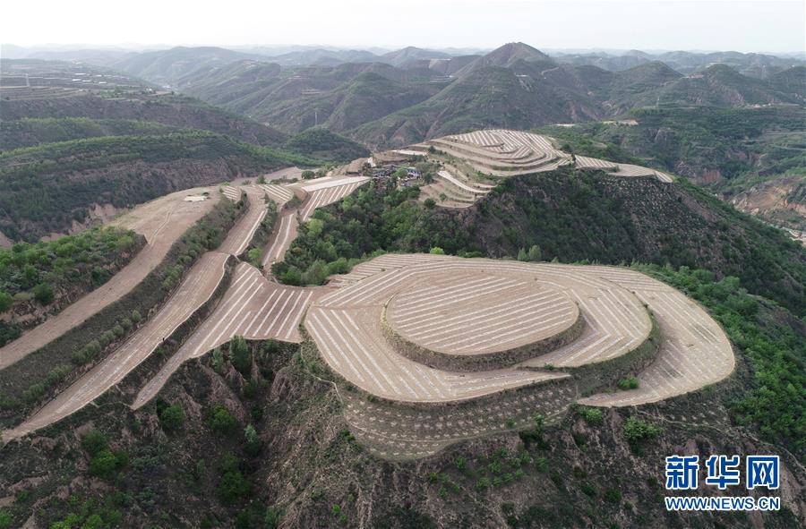 （壯闊東方潮 奮進新時代——慶祝改革開放40年）（4）退耕還林20年 延安大地譜新篇