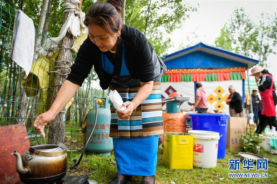 （社會）（11）夏日“過林卡” 親近大自然