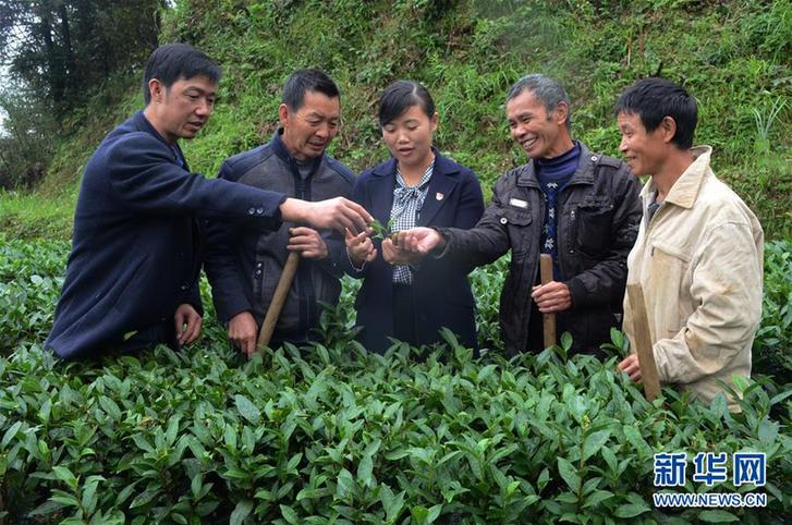 （新時代擔當作為典型風采·圖文互動）（2）梁金華：為民辦事就是自己最大的價值 