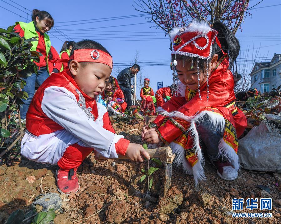 （社會）（2）多民族兒童共迎植樹節(jié)