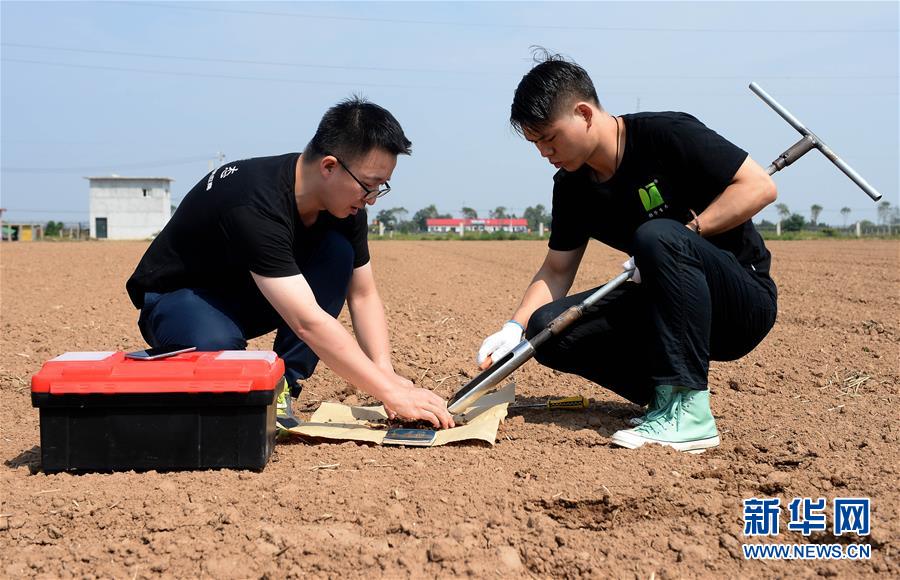 （在習近平新時代中國特色社會主義思想指引下——新時代新作為新篇章·總書記關心的百姓身邊事·圖文互動）（6）“農(nóng)”字頭照樣“大”作為——豐收時節(jié)看涉農(nóng)高校人才在希望的田野