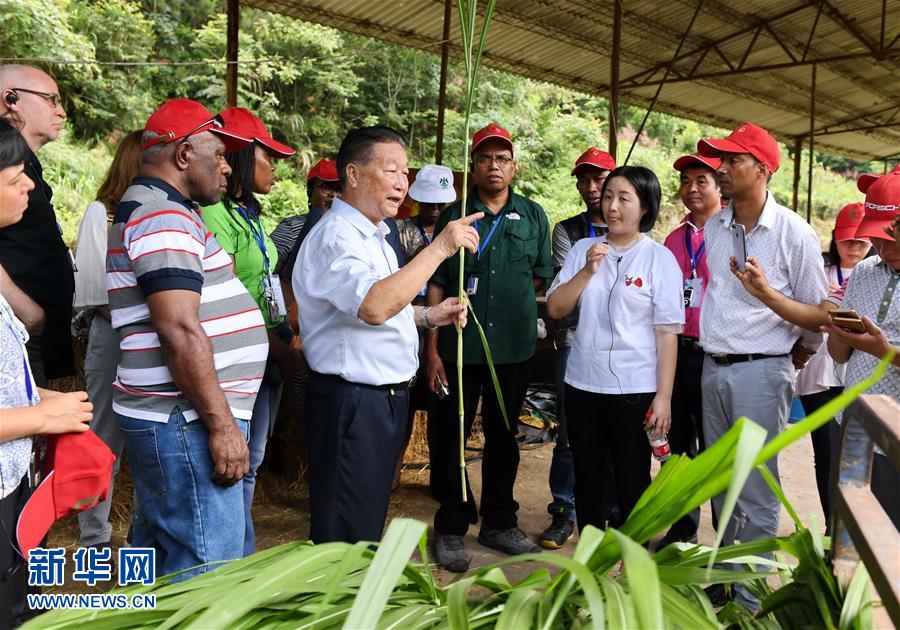 （不忘初心、牢記使命·圖文互動）（5）拳拳寸草心 濃濃報國情——記“菌草之父”林占熺