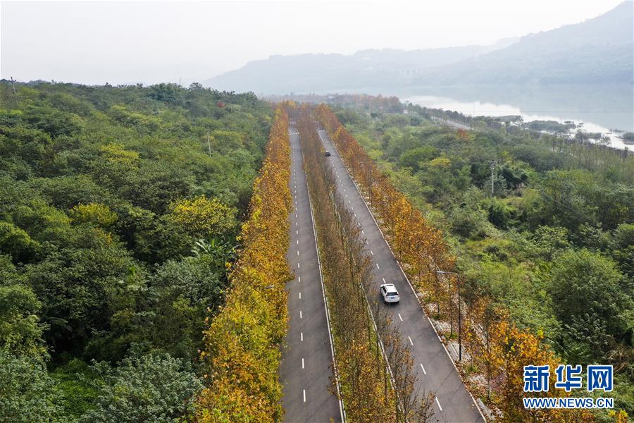 （四中全會(huì)精神在基層·圖文互動(dòng)）（3）一江碧水串起綠色島鏈——重慶江心島“生態(tài)留白”調(diào)查