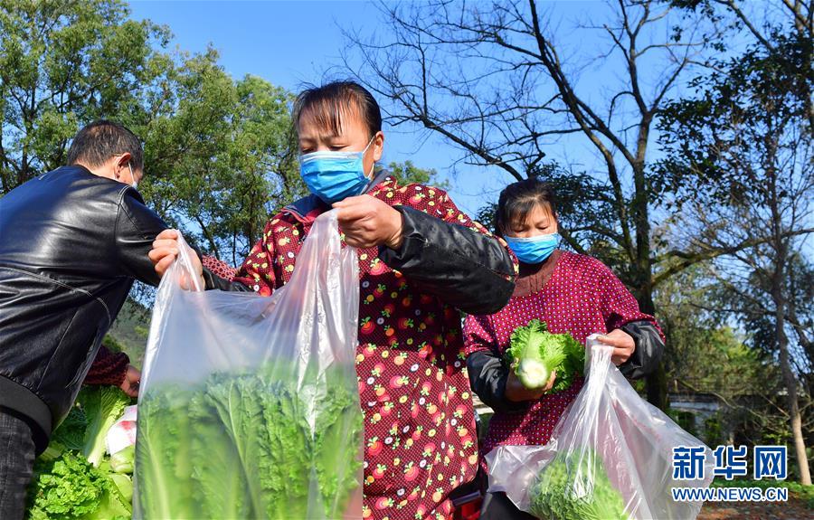 （圖文互動）（6）廣西桂林：“借力+接力”新鮮蔬菜進社區(qū)