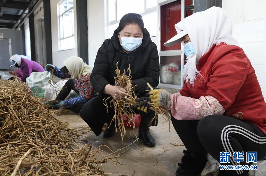 （新華全媒頭條·圖文互動）（2）特殊時期，他們這樣履職——全國人大代表這個春天在行動