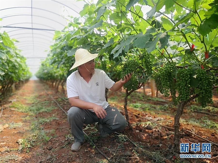 （新華全媒頭條·圖文互動）（11）春色最濃在田間——來自全國春耕備耕的現(xiàn)場觀察