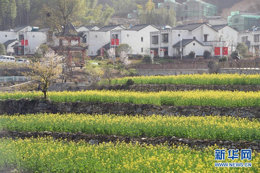 （新華全媒頭條·圖文互動）（1）紅土地上的“綠色減貧”決戰(zhàn)——大別山“將軍縣”金寨脫貧紀(jì)實