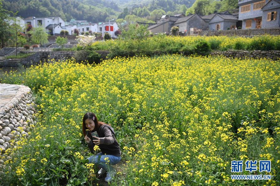 （新華全媒頭條·圖文互動）（10）紅土地上的“綠色減貧”決戰(zhàn)——大別山“將軍縣”金寨脫貧紀(jì)實