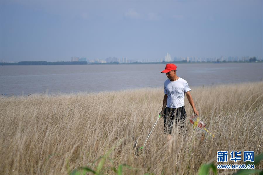 （新華全媒頭條·圖文互動）（7）大湖新歌——我國兩大淡水湖全面生態(tài)修復(fù)進(jìn)行時(shí)