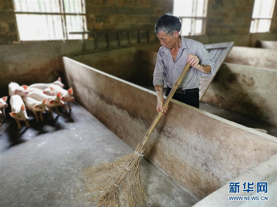 （走向我們的小康生活·圖文互動）（2）長沙：以“繡花功”精準(zhǔn)攻破“插花貧”