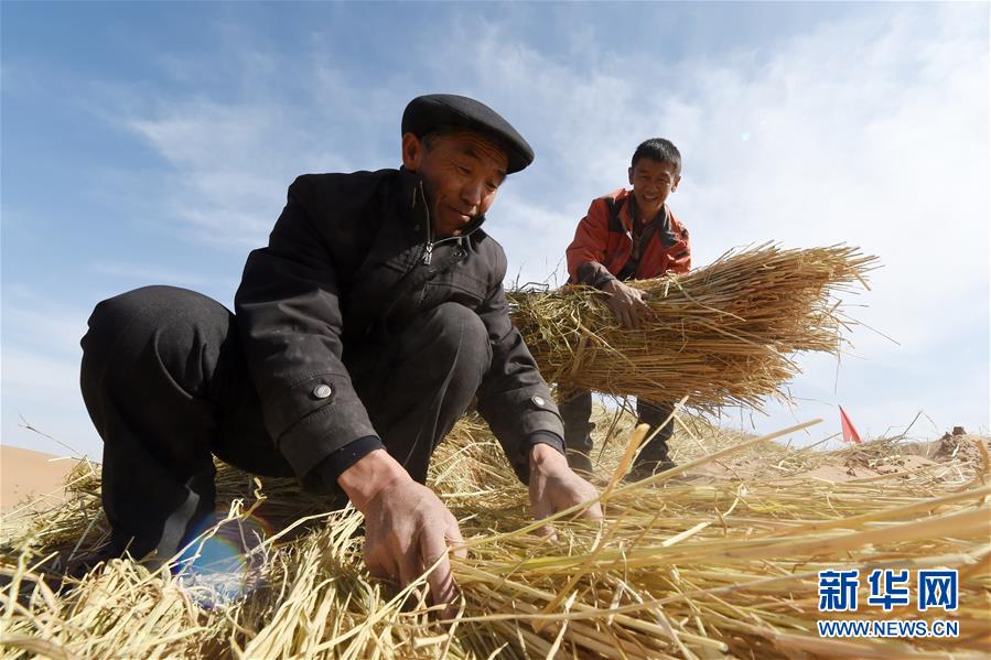 （在習近平新時代中國特色社會主義思想指引下——新時代新作為新篇章·習近平總書記關切事·圖文互動）（5）綠色映底蘊，山水見初心——生態(tài)優(yōu)先、綠色發(fā)展持續(xù)造福群眾美好生活