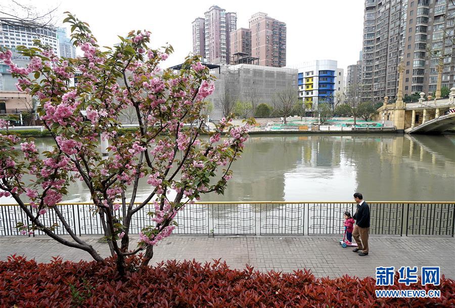 （新華全媒頭條·走向我們的小康生活·圖文互動）（12）城市，讓人民生活更美好