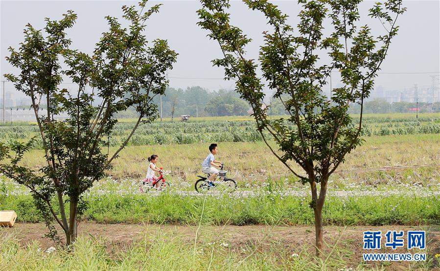 （新華全媒頭條·走向我們的小康生活·圖文互動）（14）城市，讓人民生活更美好