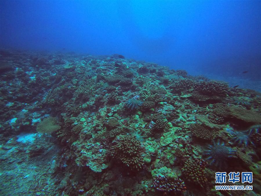 （圖文互動）（1）中沙群島綜合科學考察項目2020年度綜合航次任務(wù)完成