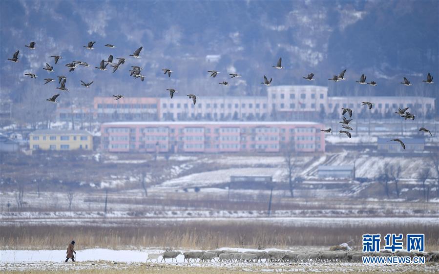 （新華全媒頭條·走向我們的小康生活·圖文互動）（14）黑土地上是我家——在吉林，一瞥中國東北鄉(xiāng)村美麗未來