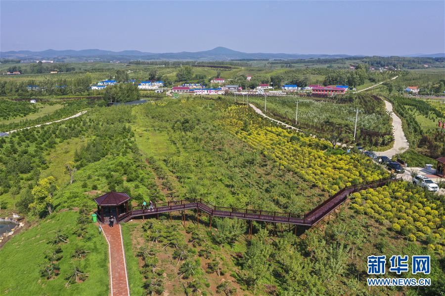 （新華全媒頭條·走向我們的小康生活·圖文互動）（16）黑土地上是我家——在吉林，一瞥中國東北鄉(xiāng)村美麗未來