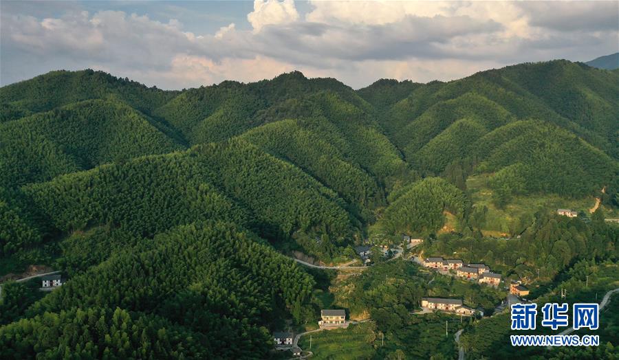 （新華全媒頭條·走向我們的小康生活·圖文互動）（2）神山村“神奇”何在？——井岡山深處覓答案