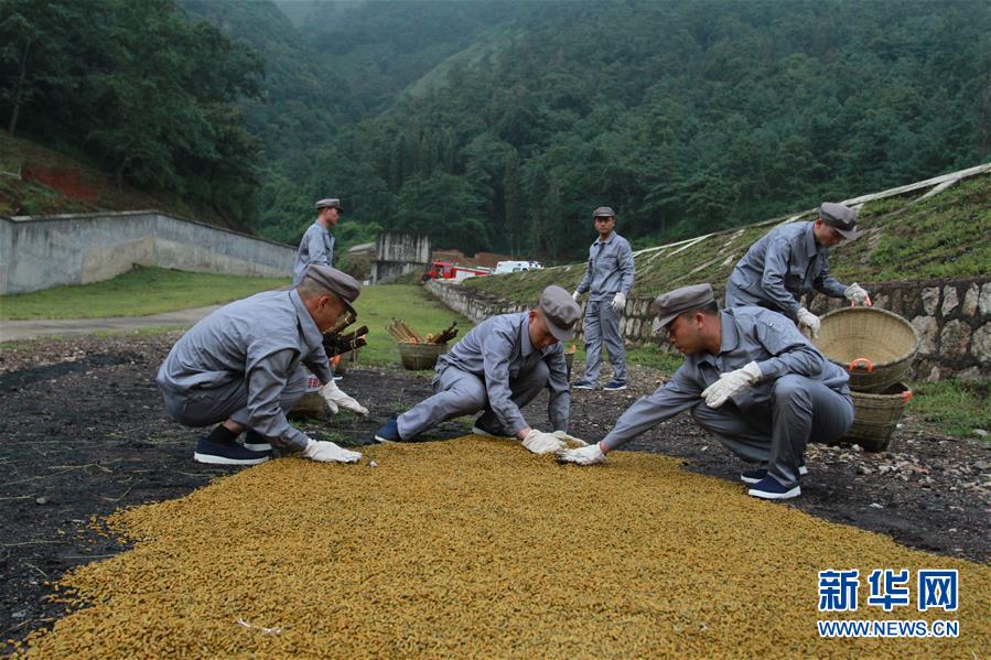 （在習(xí)近平強(qiáng)軍思想指引下·我們?cè)趹?zhàn)位報(bào)告·圖文互動(dòng)）（3）牢記統(tǒng)帥囑托  做刀尖上的舞者——記聯(lián)勤保障部隊(duì)某報(bào)廢武器彈藥銷毀站參謀長(zhǎng)陳雪禮