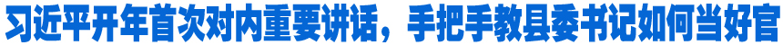 習(xí)近平開年首次對內(nèi)重要講話，手把手教縣委書記如何當(dāng)好官