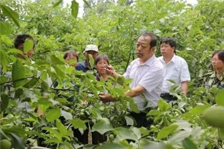 追記河北省優(yōu)秀共產(chǎn)黨員李保國