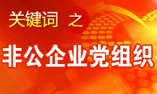 王京清：非公企業(yè)建立黨組織服務(wù)企業(yè)發(fā)展、服務(wù)員工