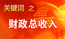 張平：今年財(cái)政總收入估計(jì)超過(guò)11萬(wàn)億